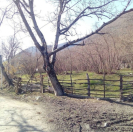 Satılır 4 sot torpaq Qax