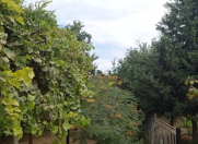 Satılır 4 otaqlı 150 m2 həyət evi Bilgəh