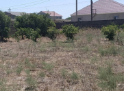 Satılır 6 sot torpaq Qala