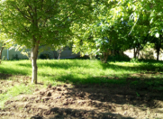 Satılır 10 sot torpaq Şamaxı