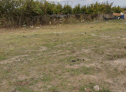 Satılır 30 sot torpaq Şağan