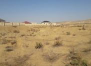 Satılır 6 sot torpaq Şirvan