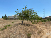 Satılır 13 sot torpaq Şüvəlan