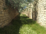 Satılır 12 sot torpaq Abşeron r.