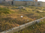 Satılır 3 sot torpaq Müşfiqabad