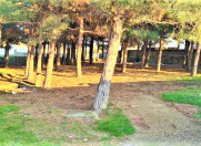 Satılır 10 sot torpaq Pirşağı