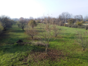 Satılır 18 sot torpaq Qəbələ