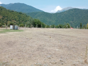 Satılır 30 sot torpaq Qəbələ