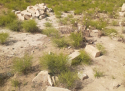 Satılır 2.5 sot torpaq Masazır