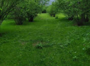 Satılır 350 sot torpaq Qax