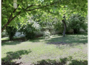 Satılır 20 sot torpaq Qəbələ