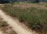 Satılır 4 otaqlı 121 m2 bağ evi Türkan