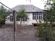 Satılır 4 sot torpaq Qəbələ