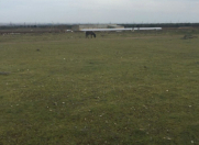 Satılır 1 sot torpaq Qəbələ