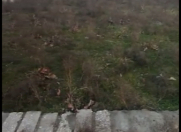 Satılır 2 sot torpaq Ramana