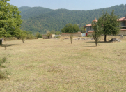 Satılır 23 sot torpaq Qəbələ