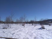 Satılır 8 sot torpaq Qusar