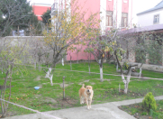 Satılır 13 sot torpaq Nəsimi m.