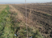 Satılır 100 sot torpaq Xaçmaz