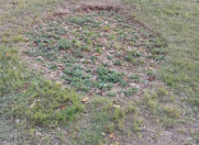 Satılır 1.7 sot torpaq Yasamal r.