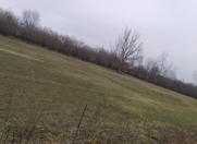 Satılır 35 sot torpaq Oğuz