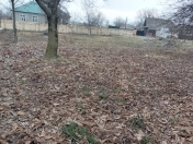 Satılır 8 sot torpaq Qəbələ