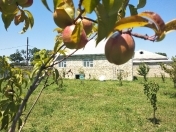 Satılır 12 sot torpaq Xaçmaz