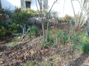 İcarəyə verilir 1 otaqlı 32 m2 həyət evi Rəssamlıq Akademiyası