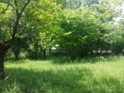 Satılır 12 sot torpaq Qəbələ