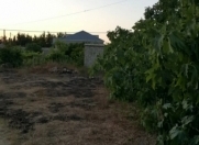 Satılır 0 sot torpaq Buzovna