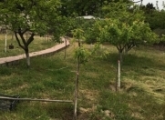 Satılır 4 otaqlı 100 m2 bağ evi Novxanı