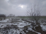 Satılır 1500 sot torpaq Quba