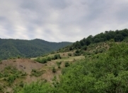 Satılır 28 sot torpaq İsmayıllı