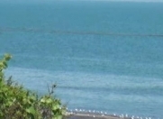 Satılır 60 sot torpaq Xaçmaz