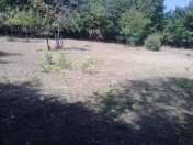 Satılır 8 sot torpaq Şəki