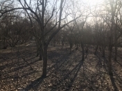 Satılır 30 sot torpaq Sabirabad