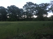 Satılır 77 sot torpaq Xaçmaz