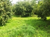 Satılır 50 sot torpaq Oğuz