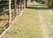 Satılır 24 sot torpaq Qəbələ