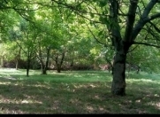 Satılır 13 sot torpaq Qəbələ