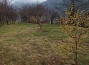 Satılır 22 sot torpaq Şəki