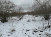 Satılır 12 sot torpaq Qəbələ