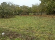 Satılır 10 sot torpaq Xaçmaz