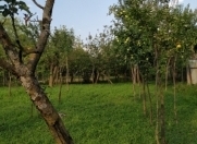 Satılır 21 sot torpaq Qax