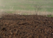 Satılır 5 sot torpaq Qobu