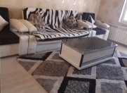 Satılır 2 otaqlı 60 m2 köhnə tikili 4 mkr