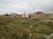 Satılır 12 sot torpaq Şirvan