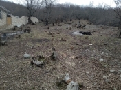 Satılır 8 sot torpaq Qusar