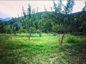 Satılır 20 sot torpaq İsmayıllı