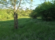 Satılır 5 sot torpaq Quba